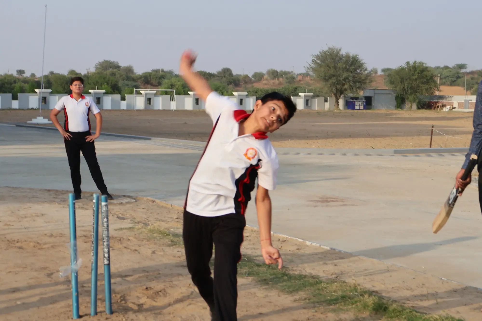 Cricket