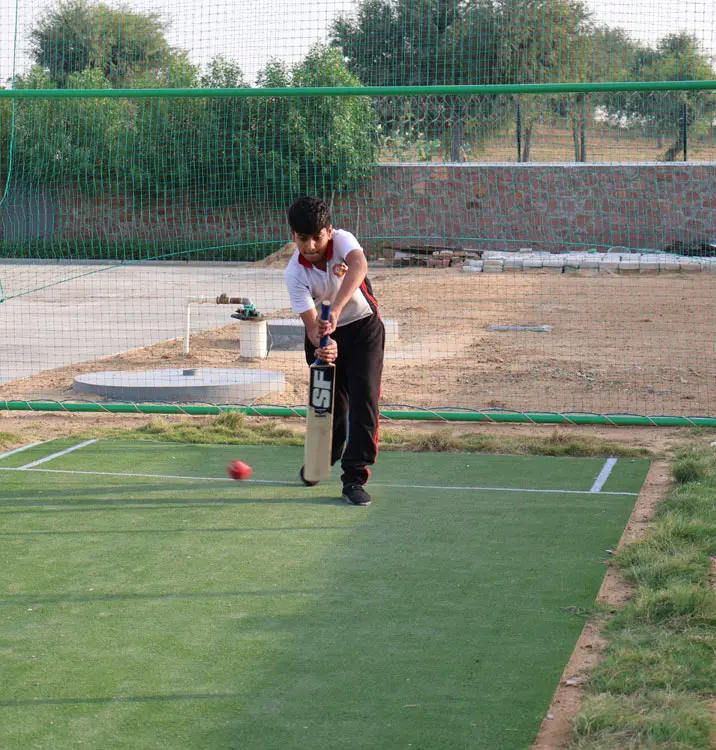 Cricket