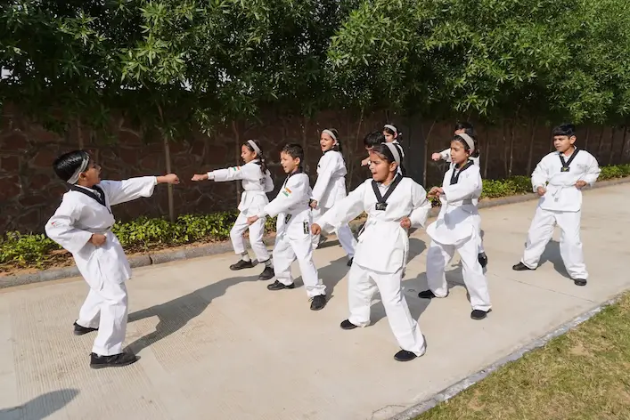 Taekwondo